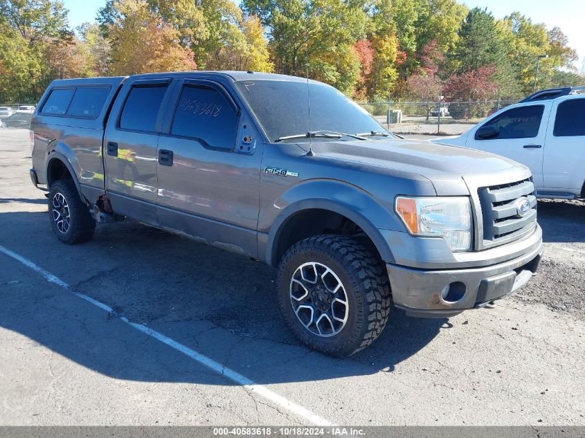 2010 FORD F-150 FX4/HARLEY-DAVIDSON/KING RANCH/LARIAT/PLATINUM/XL/XLT #2996533533