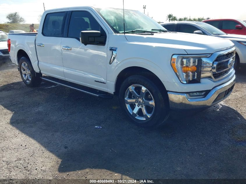 2021 FORD F-150 XLT #2992824080