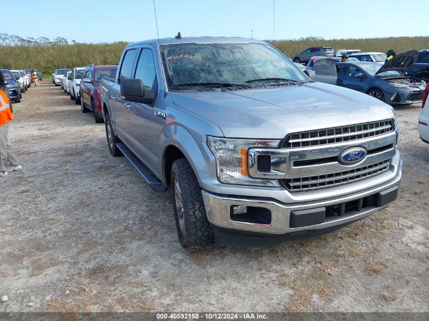 2020 FORD F-150 XLT #2995299236