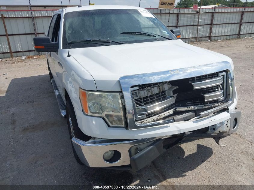 2013 FORD F-150 XLT #3035086319