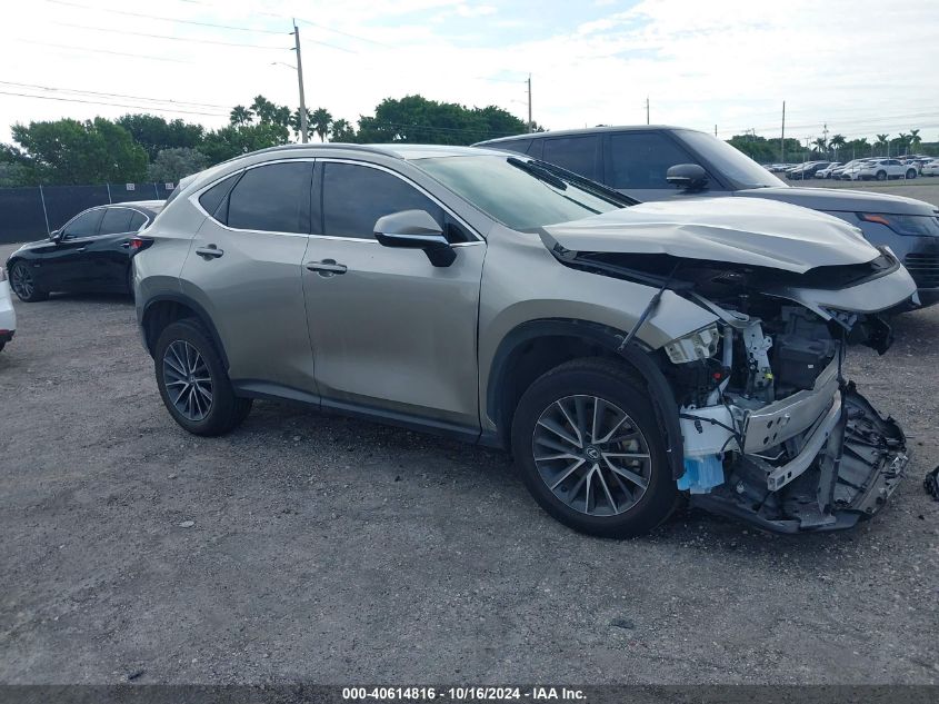 2024 LEXUS NX 250 #3035076036