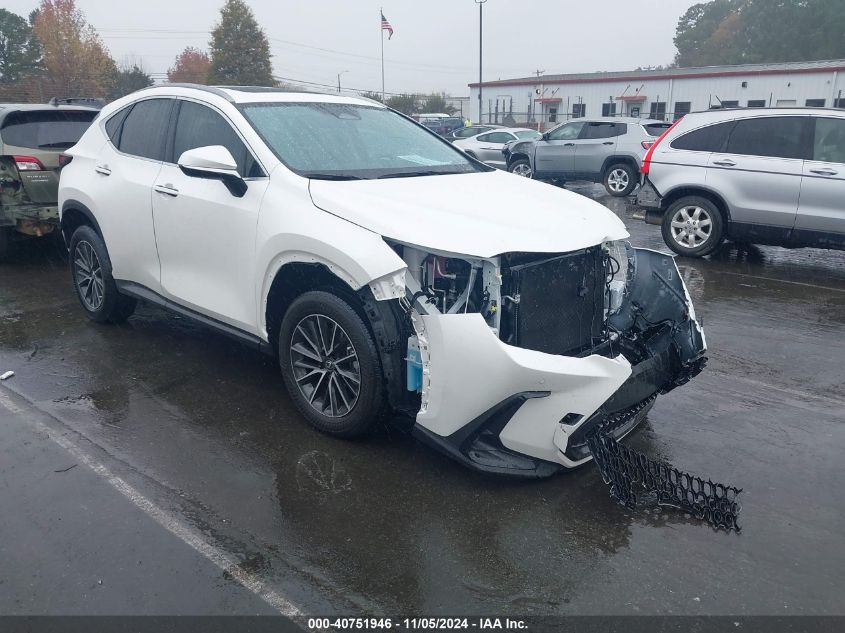 2025 LEXUS NX 350 PREMIUM #3037526355