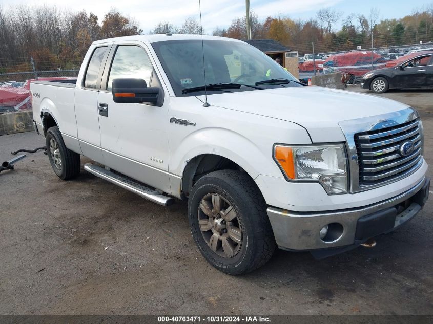 2011 FORD F-150 XLT #2996536219