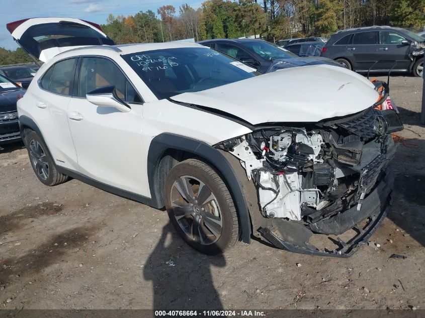 2021 LEXUS UX 250H #3037545872