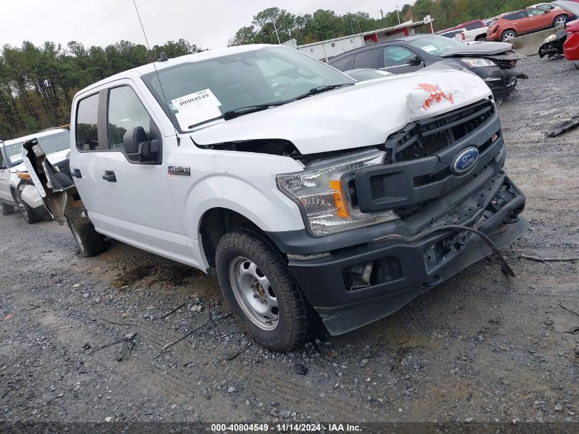 2020 FORD F-150 XL #3052075777