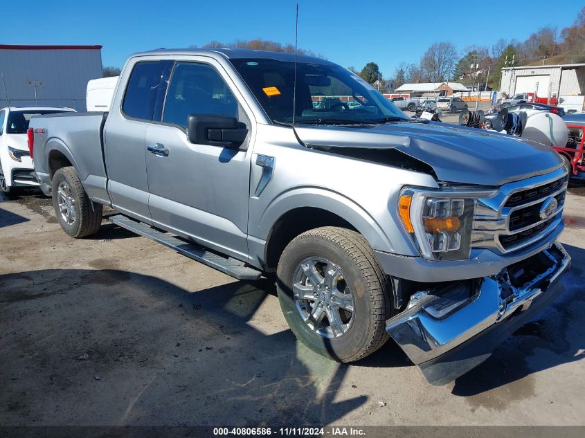 2023 FORD F-150 XLT #3035073065