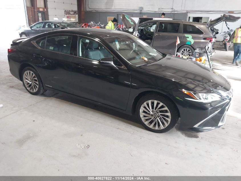 2020 LEXUS ES 300H LUXURY #3005345238