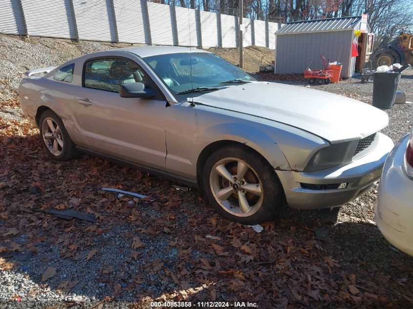 2005 FORD MUSTANG V6 DELUXE/V6 PREMIUM #3037131348