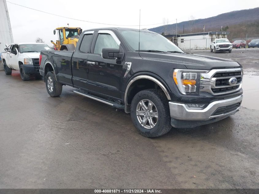 2023 FORD F-150 XLT #3034472396