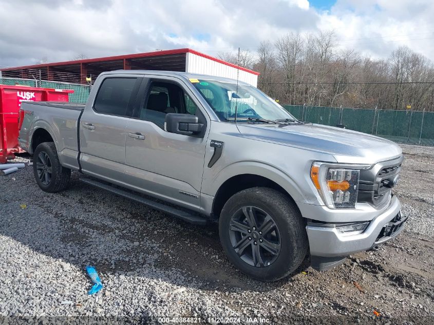 2023 FORD F-150 XLT #3035070711