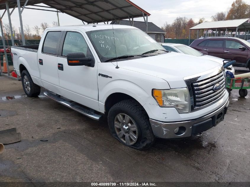 2010 FORD F-150 FX4/HARLEY-DAVIDSON/KING RANCH/LARIAT/PLATINUM/XL/XLT #3035070898