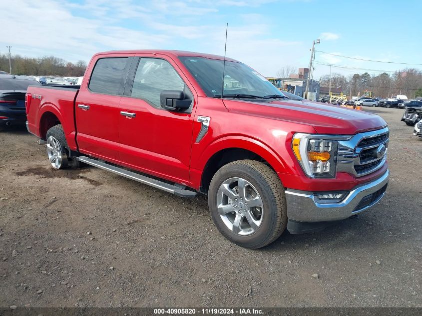 2023 FORD F-150 XLT #3035070790