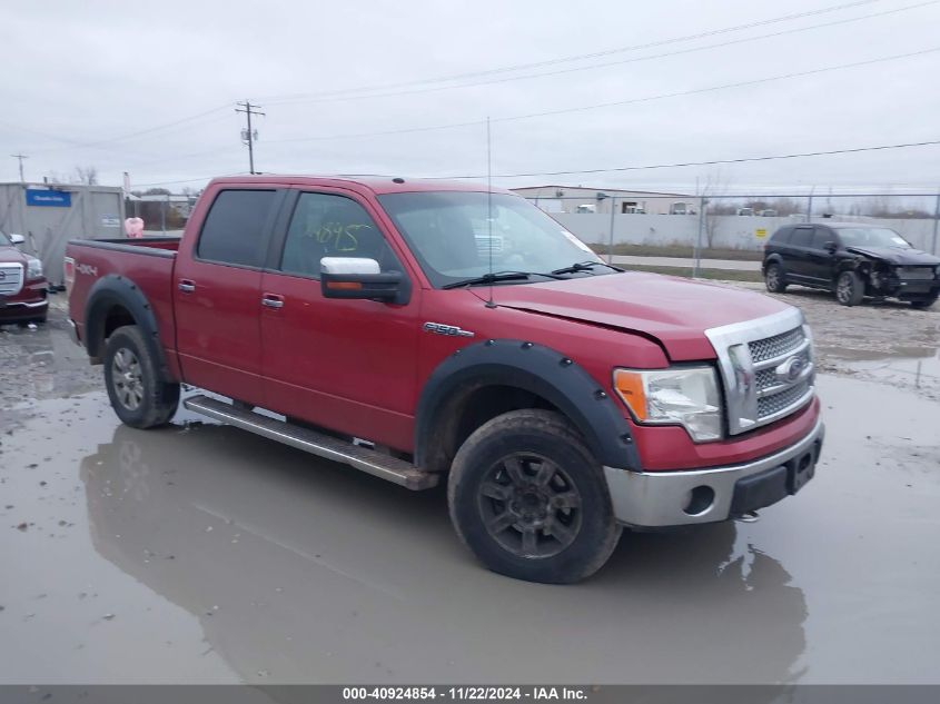 2010 FORD F-150 FX4/HARLEY-DAVIDSON/KING RANCH/LARIAT/PLATINUM/XL/XLT #3035082126