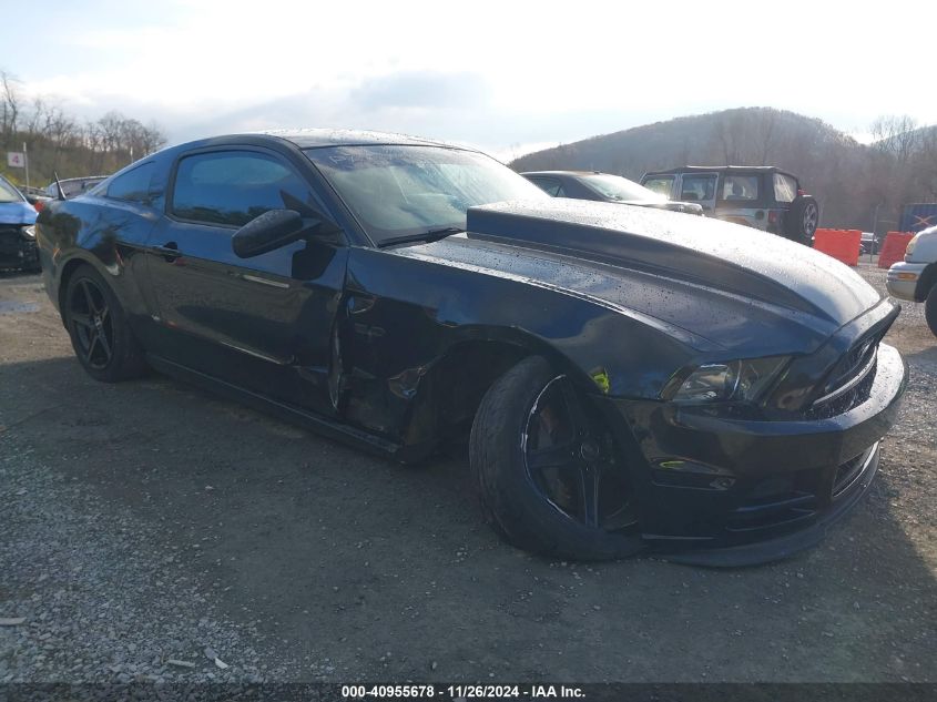 2013 FORD MUSTANG GT #3052074092