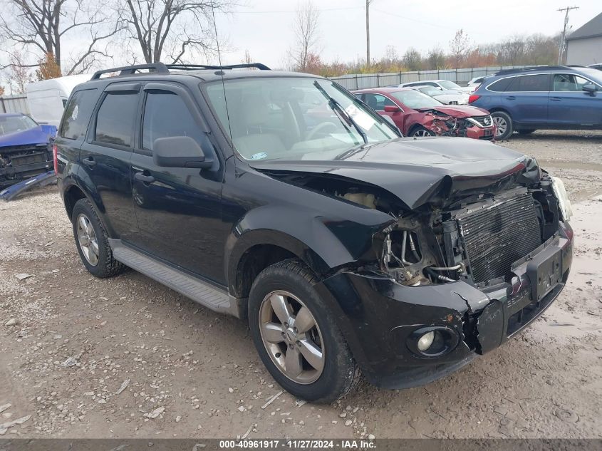 2010 FORD ESCAPE XLT #3030609942