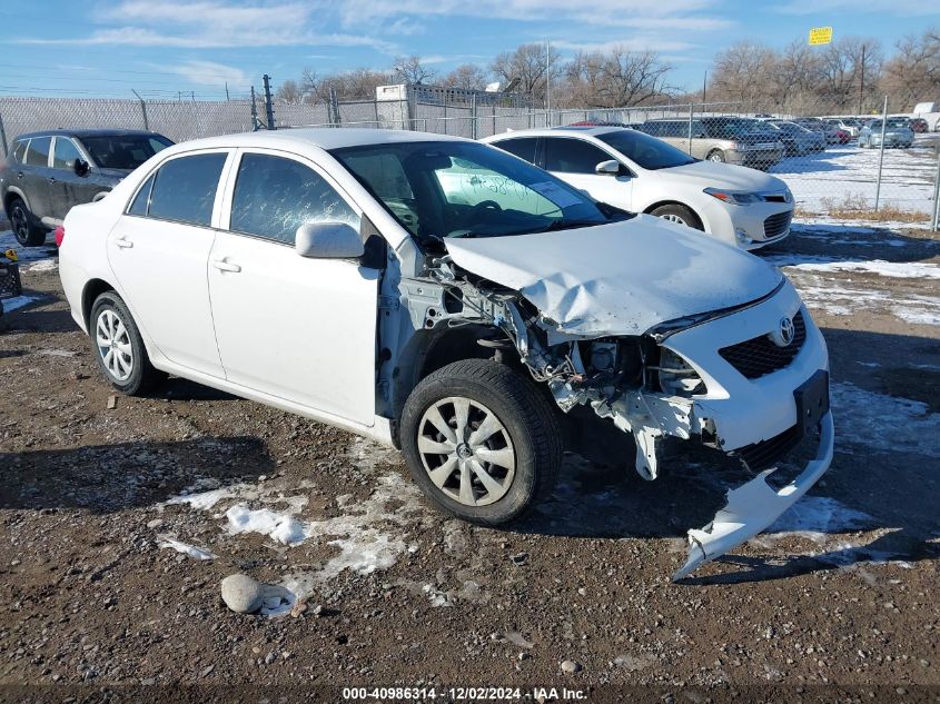 2010 TOYOTA COROLLA LE #3035088831