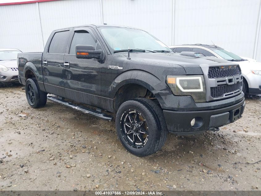 2010 FORD F-150 XL/XLT #3034050443