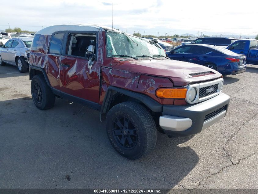 2010 TOYOTA FJ CRUISER #3035089111