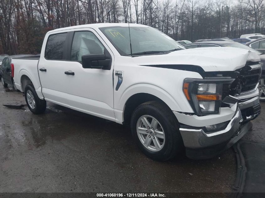 2023 FORD F-150 XLT #3025484542