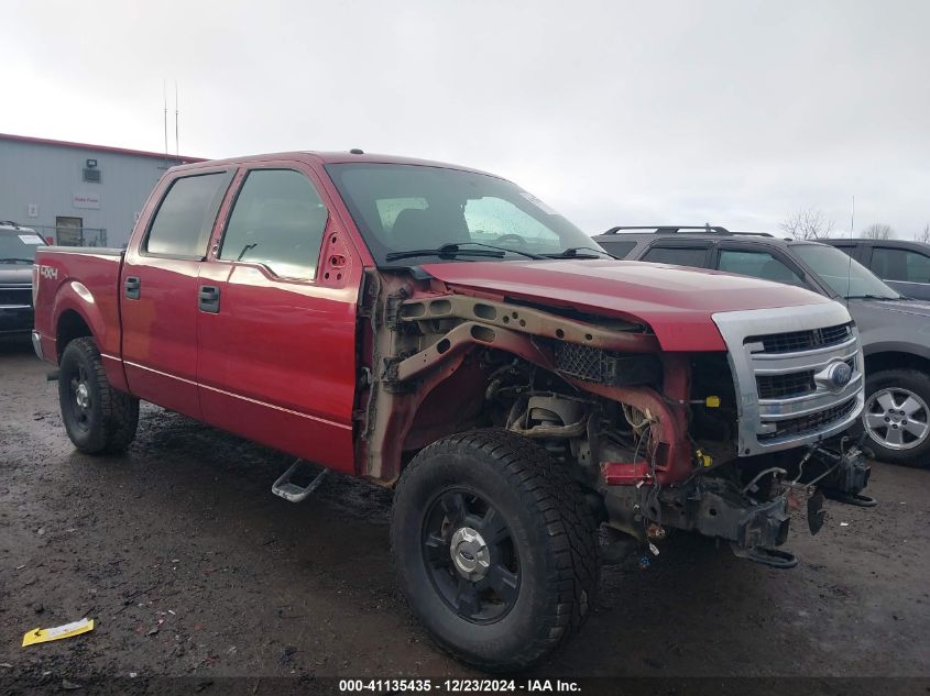 2014 FORD F-150 XLT #3035095756