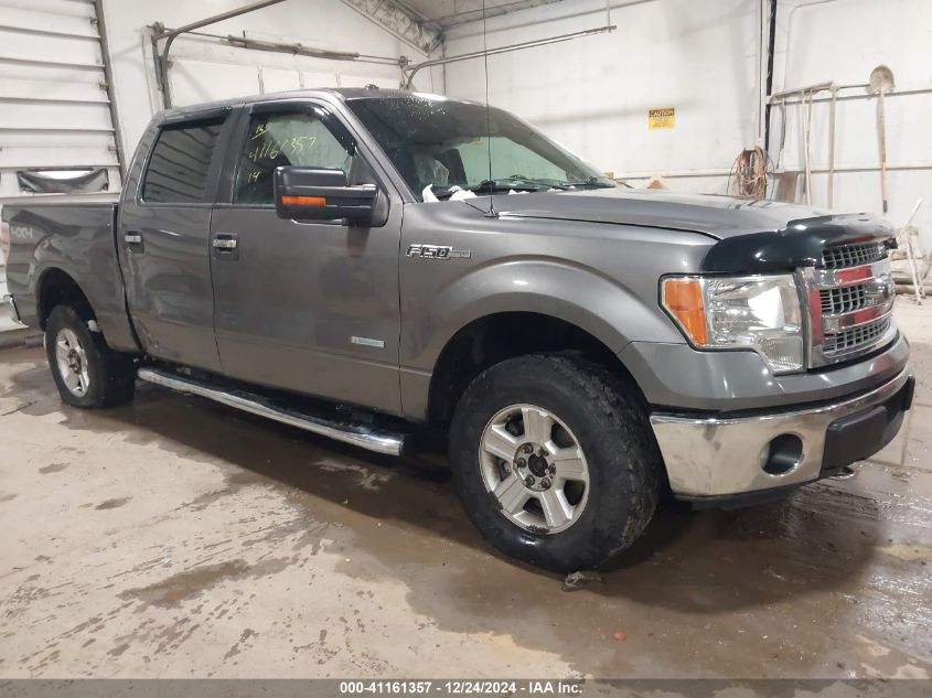 2014 FORD F-150 XLT #3054262426