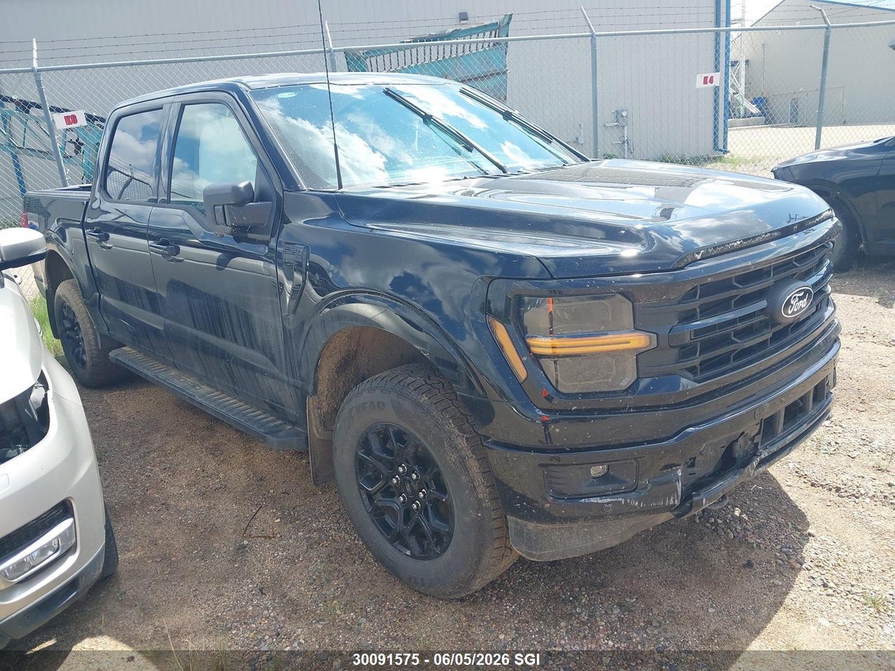 1FTFW3L84RKD90274 · 2024 FORD F150 XLT