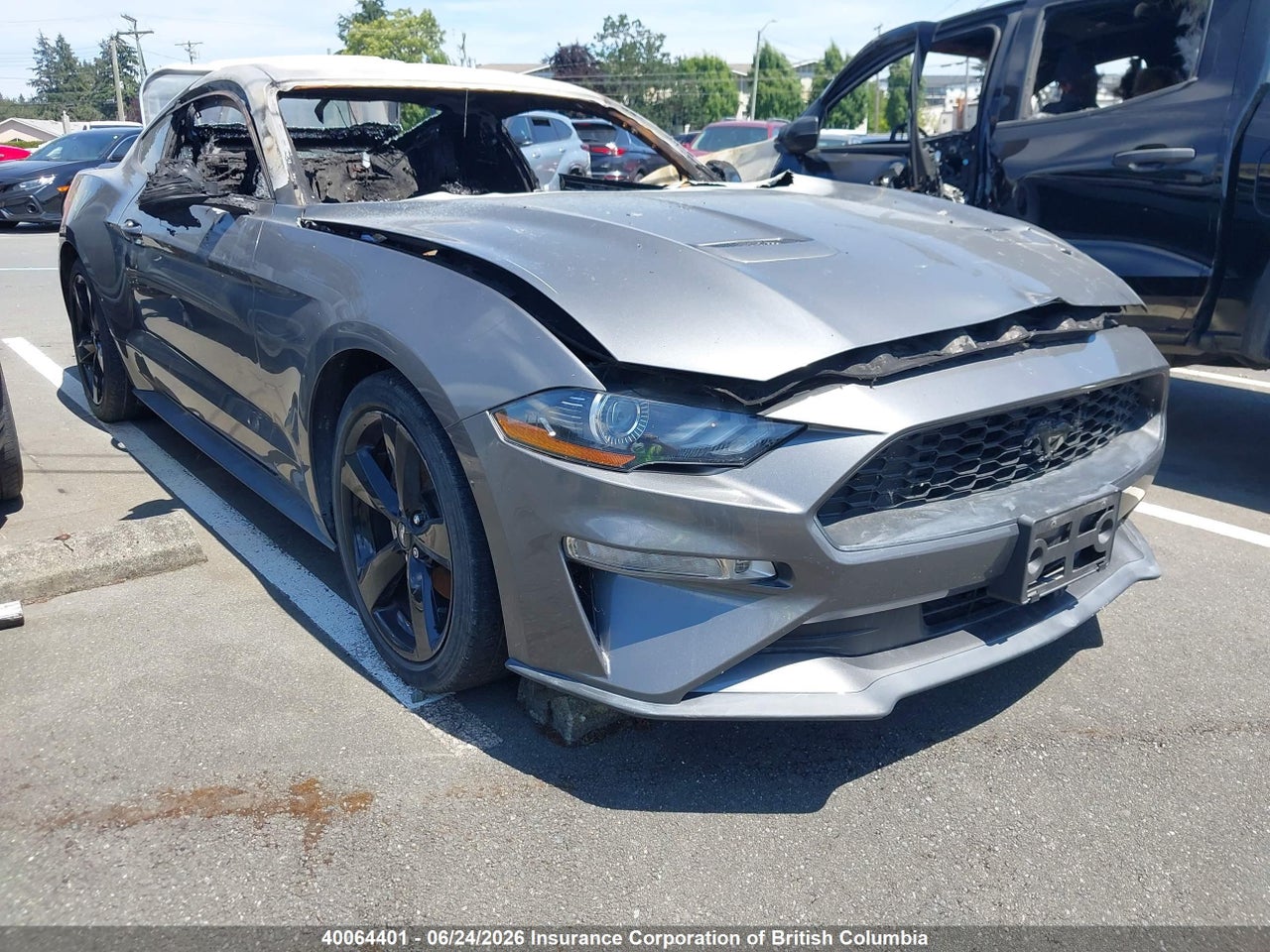 1FA6P8TH1M5105117 · 2021 FORD MUSTANG