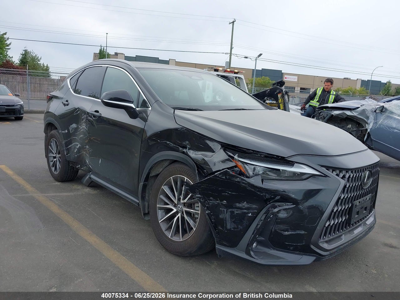 2T2GGCEZ1RC045160 · 2024 LEXUS NX 350