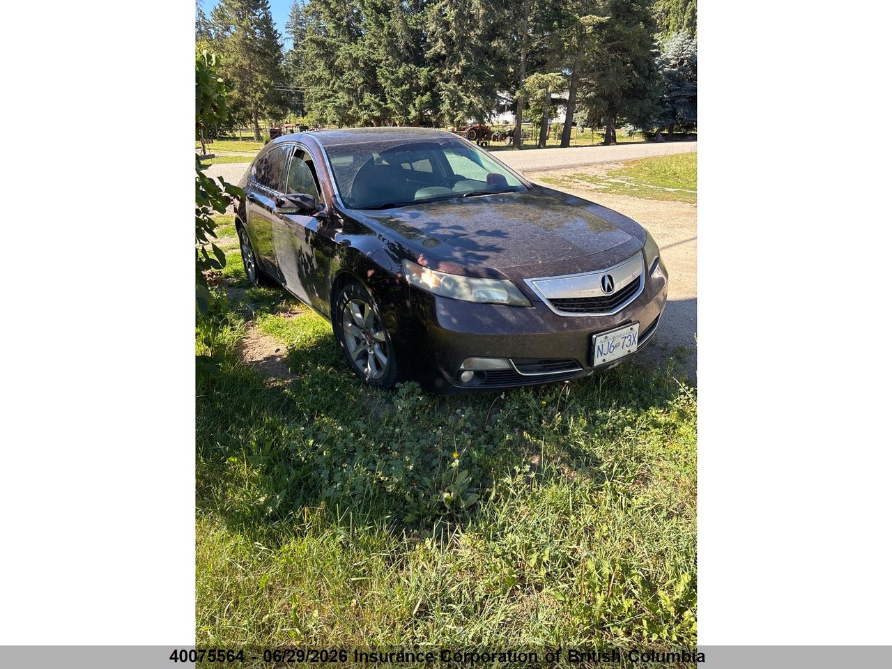 19UUA8F23CA800068 · 2012 ACURA TL