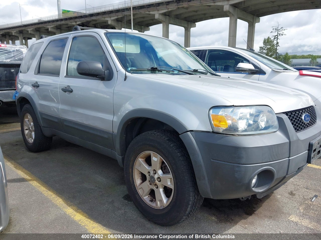 1FMYU03197KA01010 · 2007 FORD ESCAPE XLT