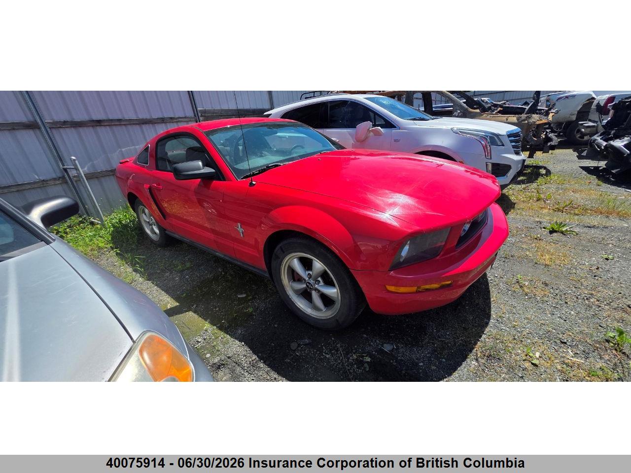1ZVFT80N975336218 · 2007 FORD MUSTANG · 1/12