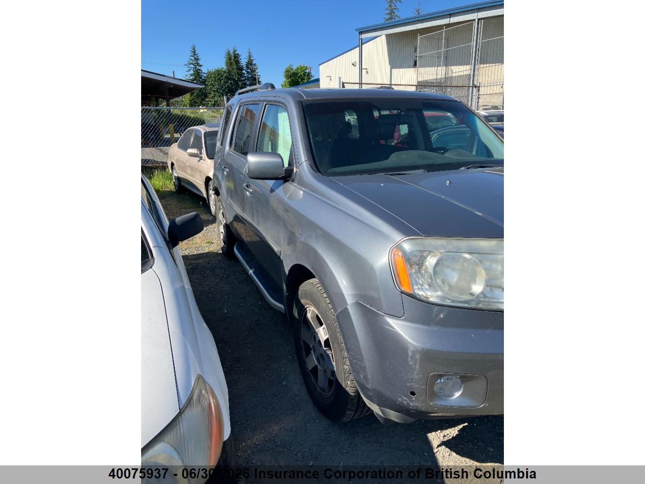 5FNYF48999B503438 · 2009 HONDA PILOT · 1/12