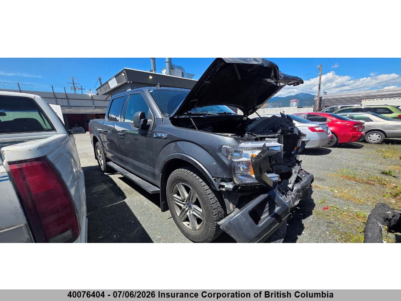 1FTEW1E52KKE42736 · 2019 FORD F150 · 1/12