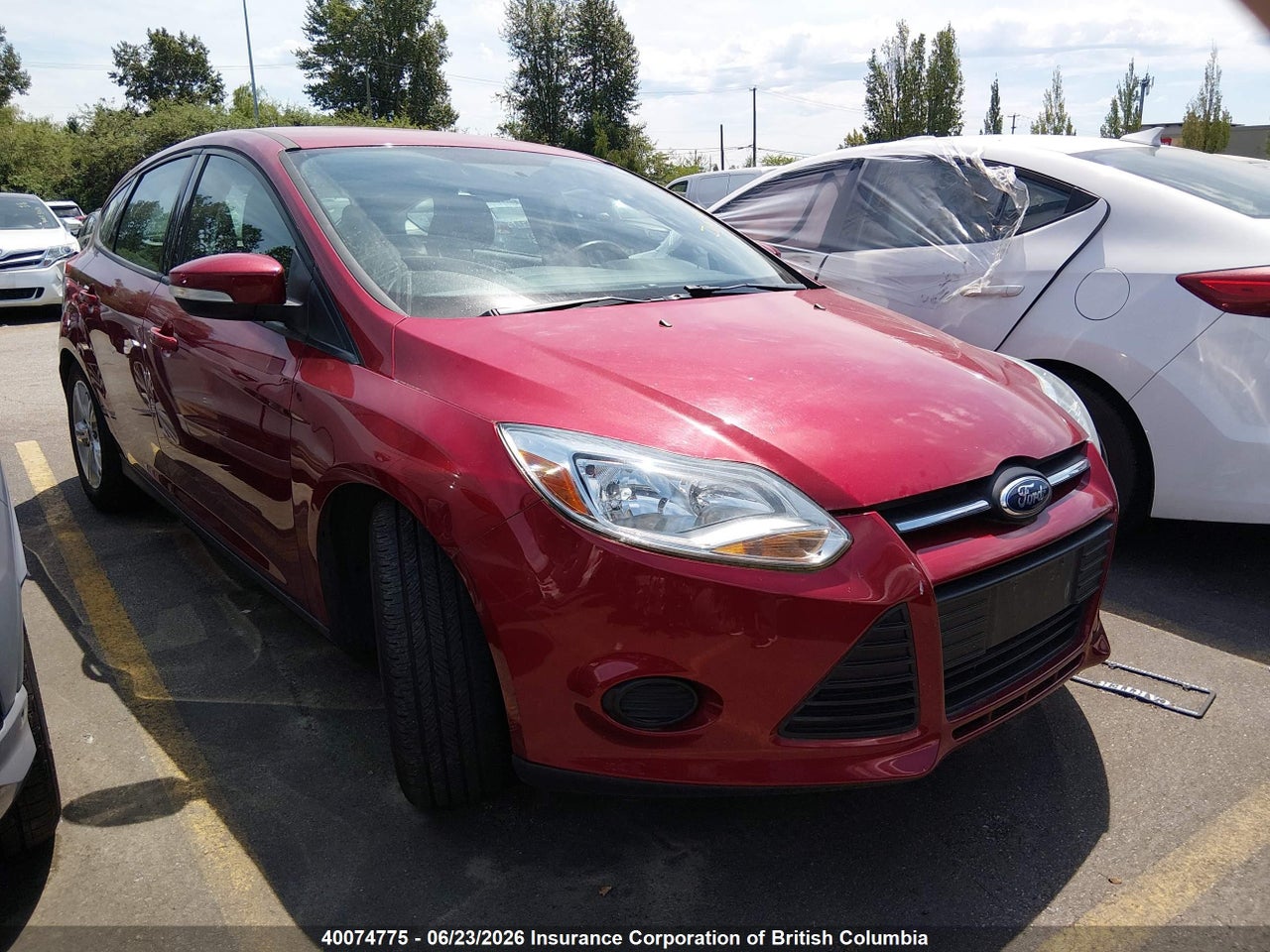 1FADP3K22DL347269 · 2013 FORD FOCUS SE