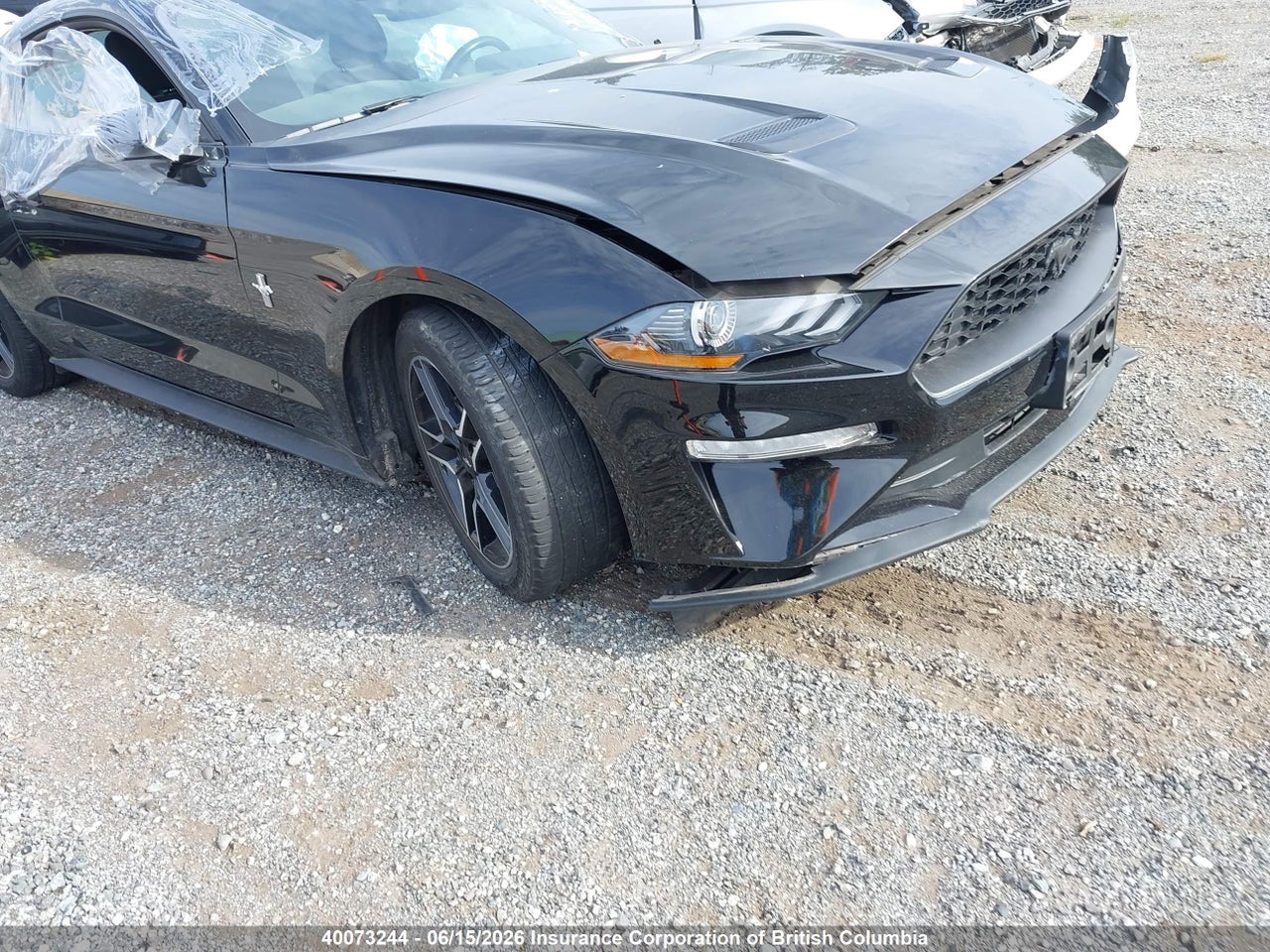 1FA6P8TH5N5117031 · 2022 FORD MUSTANG