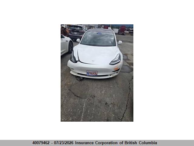 5YJ3E1EA1KF419176 · 2019 TESLA MODEL 3 · 1/12