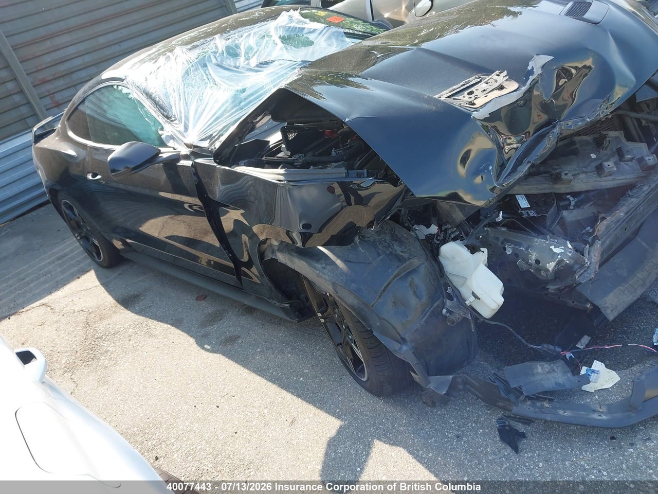 1FA6P8TH4J5161242 · 2018 FORD MUSTANG · 1/12