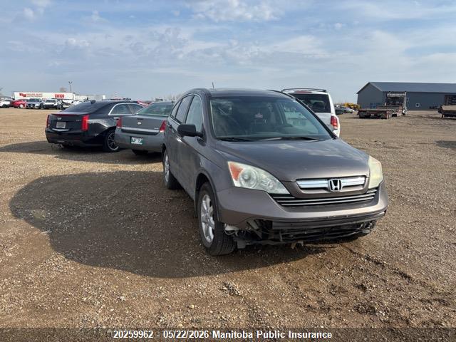 5J6RE48589L804455 · 2009 HONDA CR-V EX