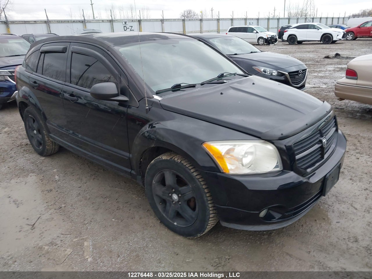 1B3HB48CX7D207986 · 2007 DODGE CALIBER SXT
