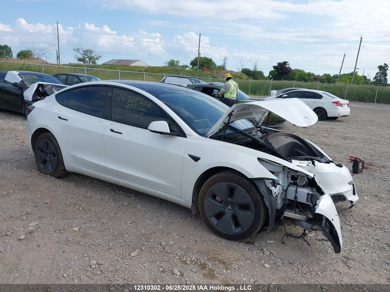 5YJ3E1EAXNF250246 · 2022 TESLA MODEL 3 · 1/12