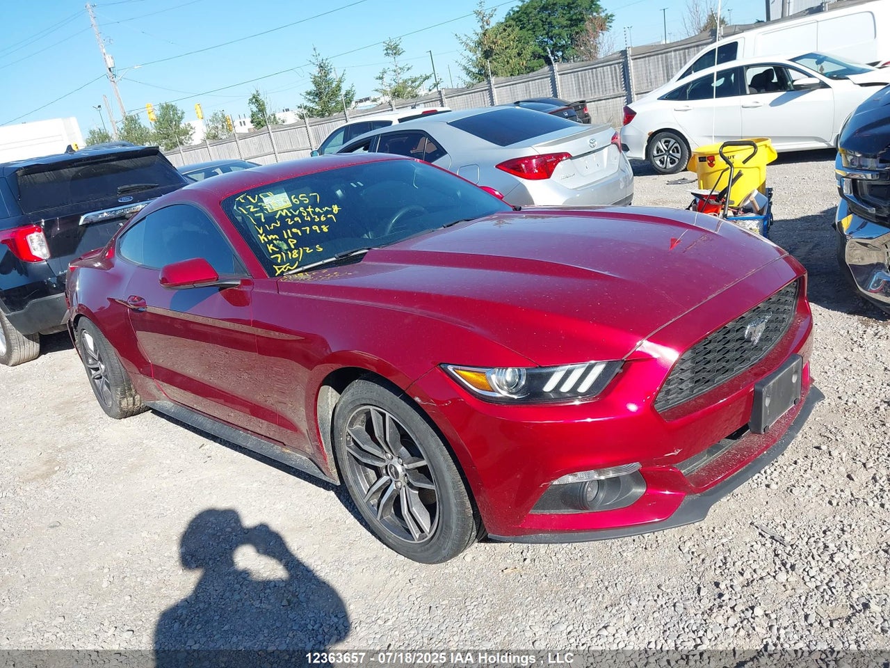 1FA6P8THXH5****** · 2017 FORD MUSTANG · 1/12