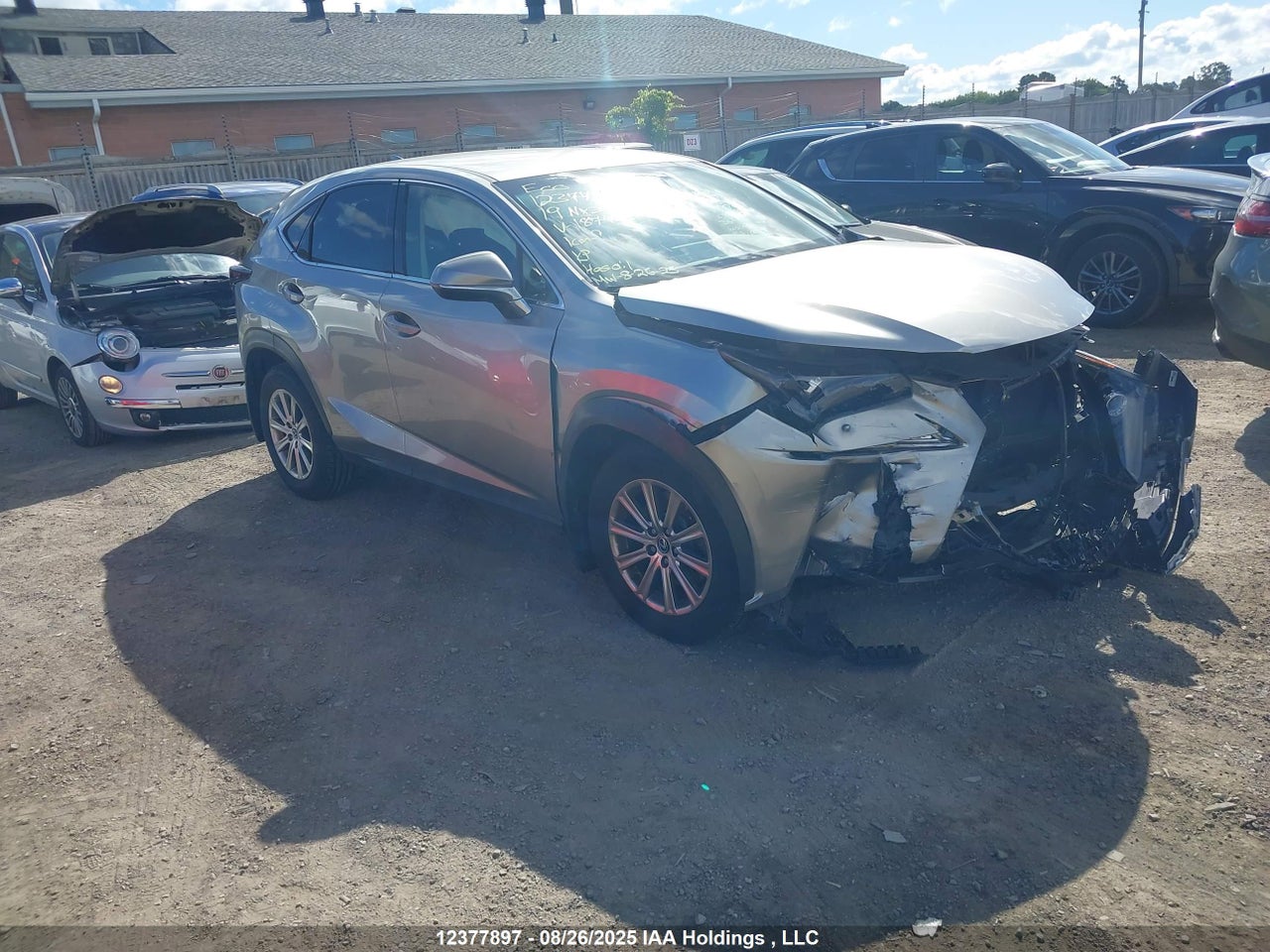 JTJBARBZ7K2187408 · 2019 LEXUS NX 300