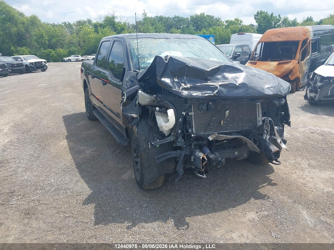 1FTEW3LPXRKD09670 · 2024 FORD F-150 XLT