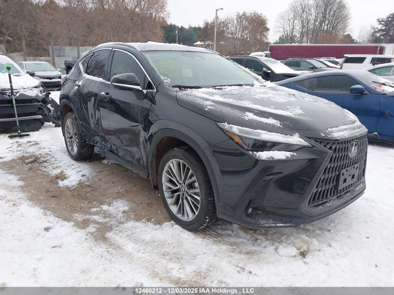 2T2GKCEZ4TC061830 · 2026 LEXUS NX
