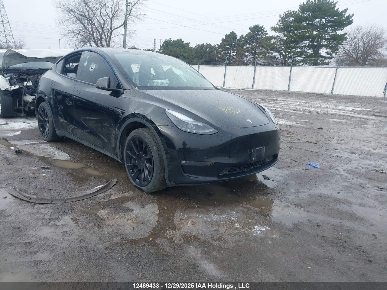 7SAYGDEEXPF773891 · 2023 TESLA MODEL Y · 1/12
