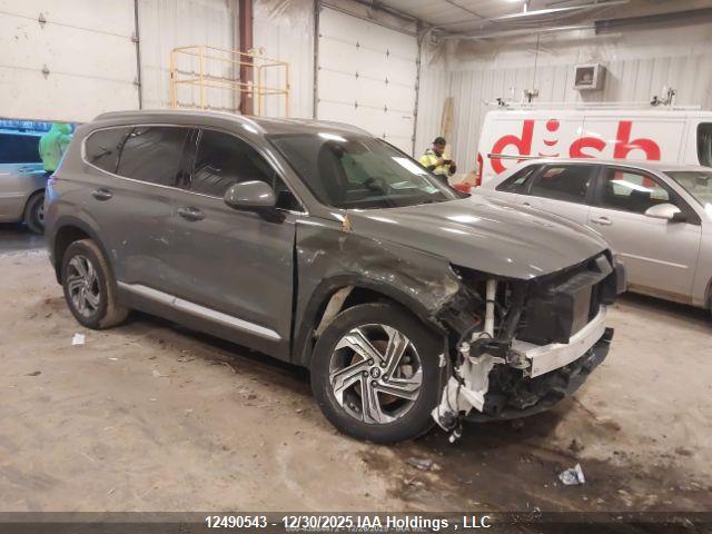 5NMS3DAJ6PH****** · 2023 HYUNDAI SANTA FE · 1/12