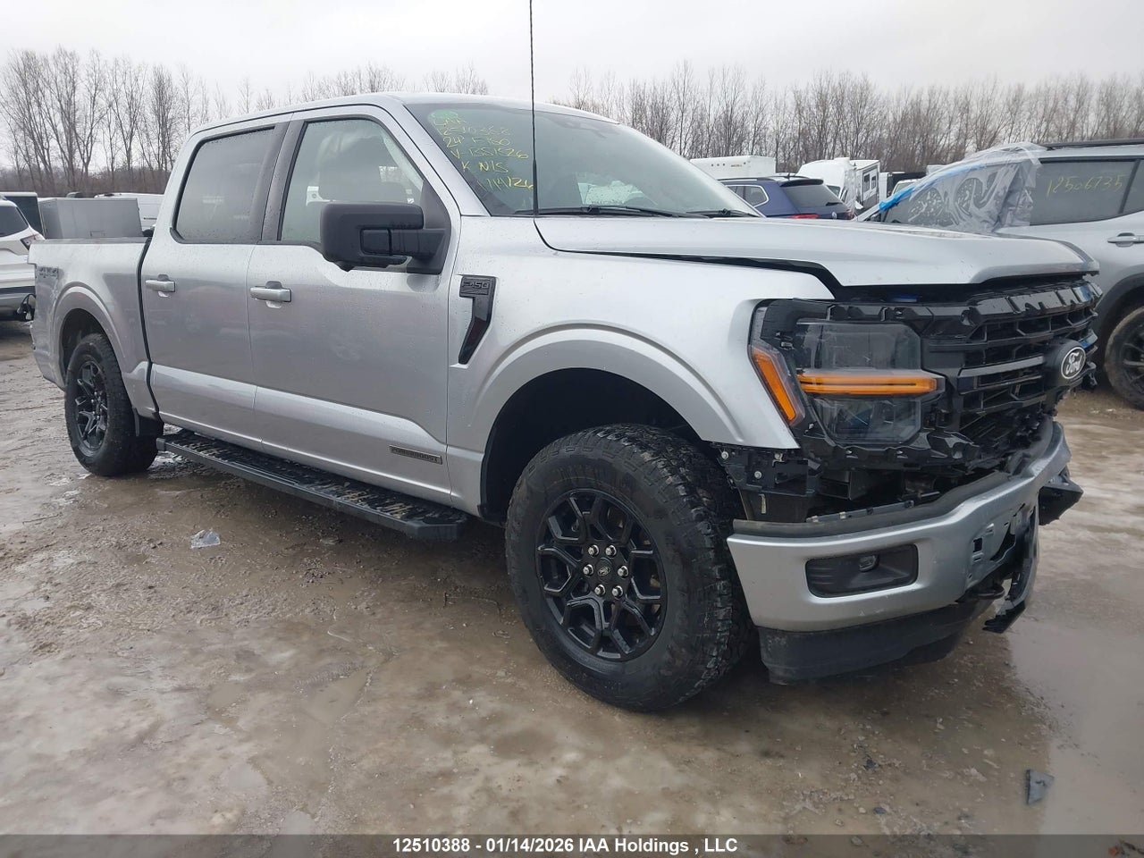 1FTFW3LD8RFB51526 · 2024 FORD F150 XLT