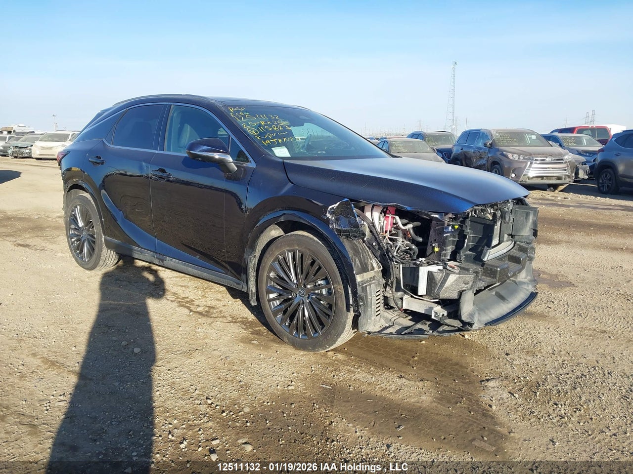 2T2BAMCA2SC115883 · 2025 LEXUS RX 350 · 1/12