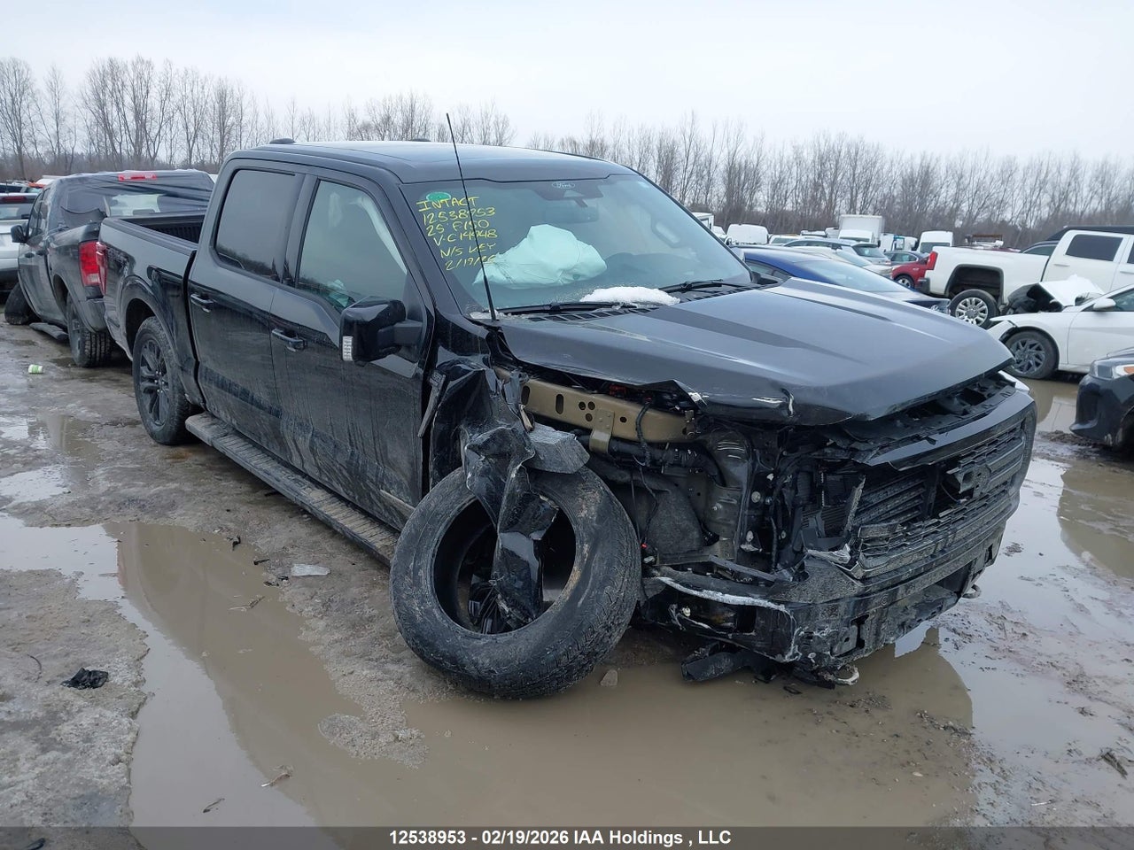1FTFW5LD8SFC14948 · 2025 FORD F-150
