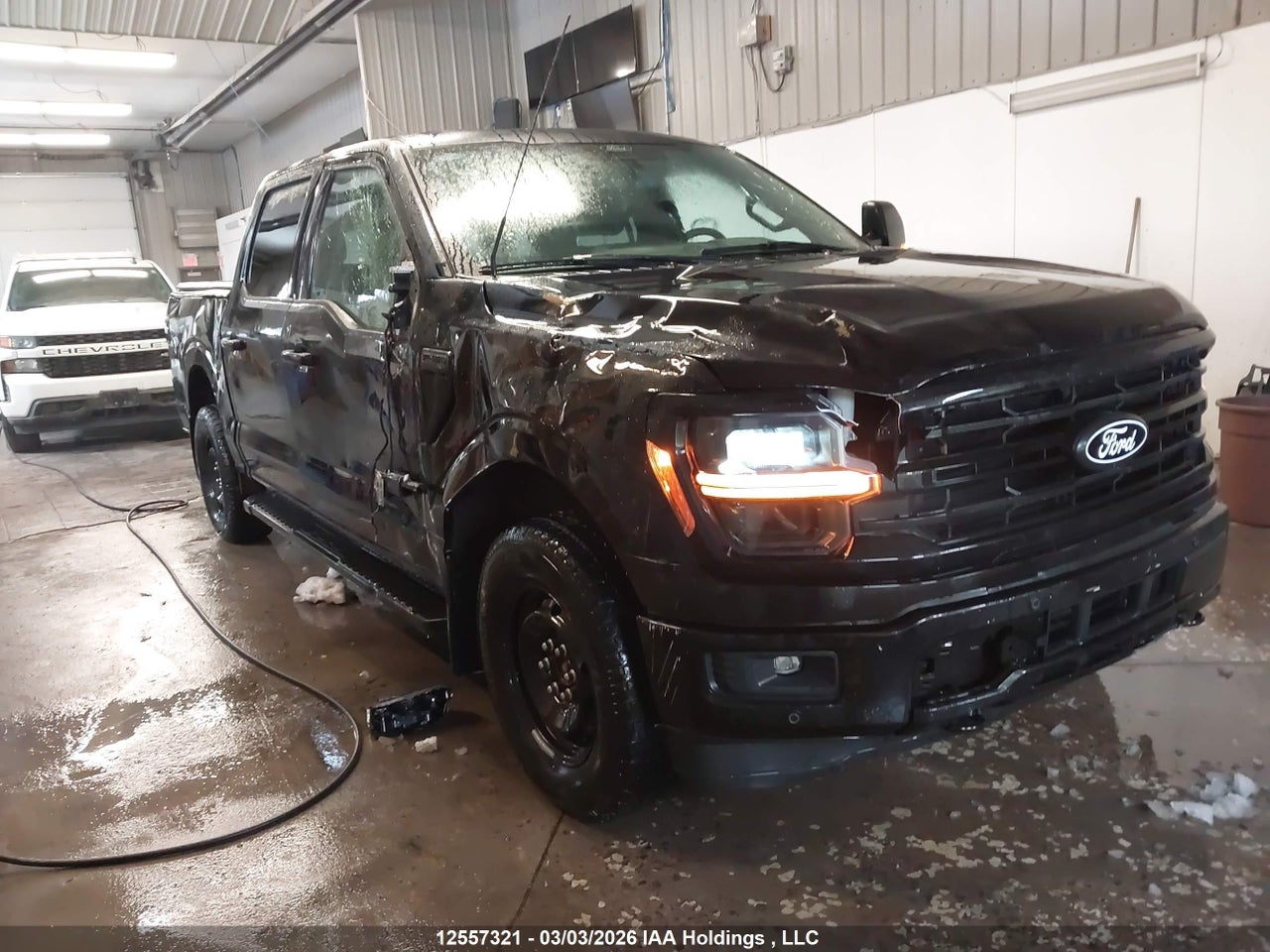 1FTFW3L88RKE30808 · 2024 FORD F150 XLT